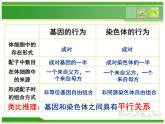 人教版 (新課標(biāo))高中生物 必修2 2-2《基因在染色體上》課件