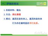 人教版 (新課標(biāo))高中生物 必修2 2-2《基因在染色體上》課件