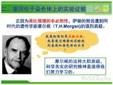 人教版 (新課標(biāo))高中生物 必修2 2-2《基因在染色體上》課件