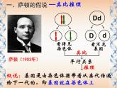 人教版 (新課標(biāo))高中生物 必修2 2-2《基因在染色體上》課件