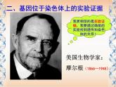 人教版 (新課標(biāo))高中生物 必修2 2-2《基因在染色體上》課件