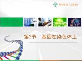 人教版 (新課標(biāo))高中生物 必修2 2-2《基因在染色體上》教學(xué)課件