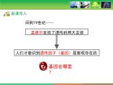 人教版 (新課標(biāo))高中生物 必修2 2-2《基因在染色體上》教學(xué)課件