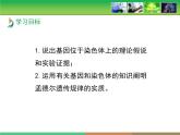 人教版 (新課標(biāo))高中生物 必修2 2-2《基因在染色體上》教學(xué)課件