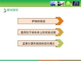 人教版 (新課標(biāo))高中生物 必修2 2-2《基因在染色體上》教學(xué)課件