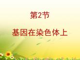 人教版 (新課標(biāo))高中生物 必修2 2-2《基因在染色體上》課件