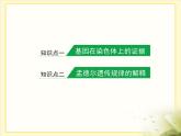 人教版 (新課標(biāo))高中生物 必修2 2-2《基因在染色體上》課件