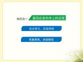 人教版 (新課標(biāo))高中生物 必修2 2-2《基因在染色體上》課件