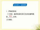 人教版 (新課標(biāo))高中生物 必修2 2-2《基因在染色體上》課件