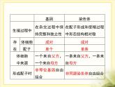 人教版 (新課標(biāo))高中生物 必修2 2-2《基因在染色體上》課件