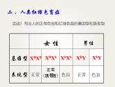 人教版 (新課標(biāo))高中生物 必修2 2-3《伴性遺傳》課件