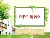 人教版 (新課標(biāo))高中生物 必修2 2-3《伴性遺傳》課件