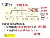 人教版 (新課標(biāo))高中生物 必修2 2-3《伴性遺傳》課件