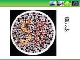 人教版 (新課標(biāo))高中生物 必修2 2-3《伴性遺傳》教學(xué)課件