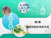 人教版 (新課標(biāo))高中生物 必修2 第二章《基因和染色體的關(guān)系》復(fù)習(xí)課件