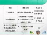 人教版 (新課標(biāo))高中生物 必修2 第二章《基因和染色體的關(guān)系》復(fù)習(xí)課件