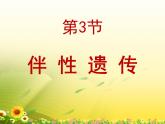 人教版 (新課標(biāo))高中生物 必修2 2-3《伴性遺傳》復(fù)習(xí)課件