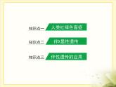 人教版 (新課標(biāo))高中生物 必修2 2-3《伴性遺傳》復(fù)習(xí)課件