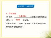 人教版 (新課標(biāo))高中生物 必修2 2-3《伴性遺傳》復(fù)習(xí)課件