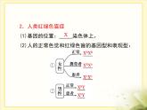 人教版 (新課標(biāo))高中生物 必修2 2-3《伴性遺傳》復(fù)習(xí)課件