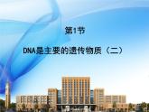 人教版 (新課標)高中生物 必修2 3-1《DNA是主要的遺傳物質》課件