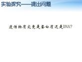 人教版 (新課標)高中生物 必修2 3-1《DNA是主要的遺傳物質》課件