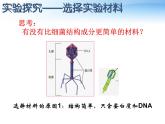 人教版 (新課標)高中生物 必修2 3-1《DNA是主要的遺傳物質》課件