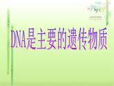 人教版 (新課標)高中生物 必修2 3-1《DNA是主要的遺傳物質》課件