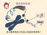 人教版 (新課標)高中生物 必修2 3-1《DNA是主要的遺傳物質》課件