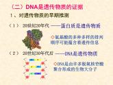 人教版 (新課標)高中生物 必修2 3-1《DNA是主要的遺傳物質》課件