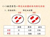 人教版 (新課標)高中生物 必修2 3-1《DNA是主要的遺傳物質》課件