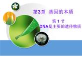 人教版 (新課標)高中生物 必修2 3-1《DNA是主要的遺傳物質》課件