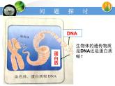 人教版 (新課標)高中生物 必修2 3-1《DNA是主要的遺傳物質》課件