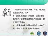 人教版 (新課標)高中生物 必修2 3-1《DNA是主要的遺傳物質》復習課件