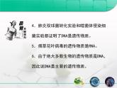 人教版 (新課標)高中生物 必修2 3-1《DNA是主要的遺傳物質》復習課件