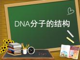 人教版 (新課標(biāo))高中生物 必修2 3-2《DNA分子的結(jié)構(gòu)》課件