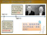人教版 (新課標(biāo))高中生物 必修2 3-2《DNA分子的結(jié)構(gòu)》課件