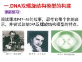 人教版 (新課標(biāo))高中生物 必修2 3-2《DNA分子的結(jié)構(gòu)》課件