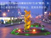 人教版 (新課標(biāo))高中生物 必修2 3-2《DNA分子的結(jié)構(gòu)》課件