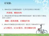 人教版 (新課標(biāo))高中生物 必修2 3-2《DNA分子的結(jié)構(gòu)》課件