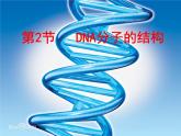 人教版 (新課標(biāo))高中生物 必修2 3-2《DNA分子的結(jié)構(gòu)》課件