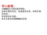 人教版 (新課標(biāo))高中生物 必修2 3-2《DNA分子的結(jié)構(gòu)》課件