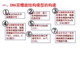 人教版 (新課標(biāo))高中生物 必修2 3-2《DNA分子的結(jié)構(gòu)》課件