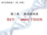 人教版 (新課標(biāo))高中生物 必修2 3-2《DNA分子的結(jié)構(gòu)》課件