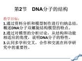 人教版 (新課標(biāo))高中生物 必修2 3-2《DNA分子的結(jié)構(gòu)》課件