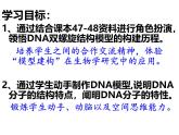 人教版 (新課標(biāo))高中生物 必修2 3-2《DNA分子的結(jié)構(gòu)》課件