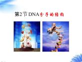 人教版 (新課標(biāo))高中生物 必修2 3-2《DNA分子的結(jié)構(gòu)》課件