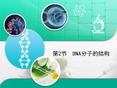 人教版 (新課標(biāo))高中生物 必修2 3-2《DNA分子的結(jié)構(gòu)》復(fù)習(xí)課件