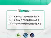 人教版 (新課標(biāo))高中生物 必修2 3-2《DNA分子的結(jié)構(gòu)》復(fù)習(xí)課件