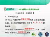 人教版 (新課標(biāo))高中生物 必修2 3-2《DNA分子的結(jié)構(gòu)》復(fù)習(xí)課件